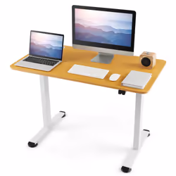Height Adjustable Electric Computer Desk w/Cable Management HomeOffice