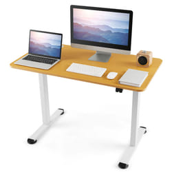 Height Adjustable Electric Computer Desk w/Cable Management HomeOffice