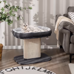 2-Tier Cat Tree Cat Tower Kitten Activity Center w/ Cozy Cat Bed