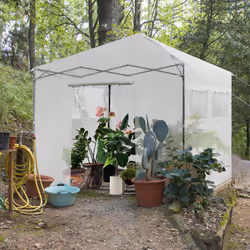 Garden Greenhouse Indoor Outdoor Mini Walk-in Greenhouse with PE Cover