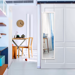 Full Length Mirror Door Wall Mounted Dressing Mirror w/ Hanging Hooks