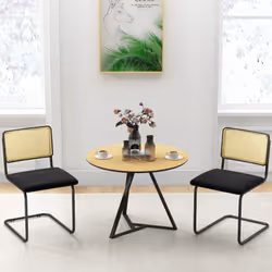 Rattan Dining Chairs Set of 2 Upholstered Side Chairs Modern Chairs