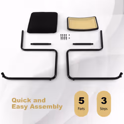 Rattan Dining Chairs Set of 2 Upholstered Side Chairs Modern Chairs