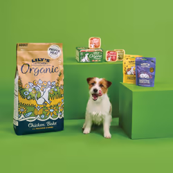 Lily's Kitchen Made with Natural Ingredients Adult Wet Dog Food Tray Chicken Organic 11 x 150g