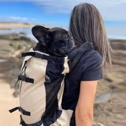 Breathable Dog Carrier Bag Outdoor Travel Puppy Medium Dog Backpack Portable Reflective Pet Carrier Bags Pet Carrying - red, XL for 15-30 kg