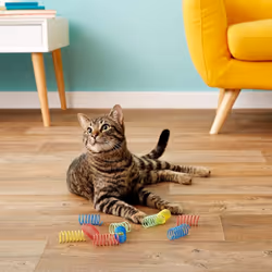 Colorful Spring Cat Toys10pcs cat toy spring