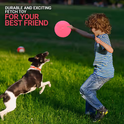 Indestructible Dog Flying Disc, Interactive Dog Flyer Toy