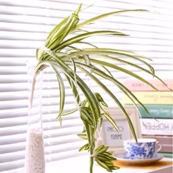 2Pack Artificial Flowers Spider Plants Fake Silk Plant Faux Greenery Artificial Plants (Hanging Basket Not Included)