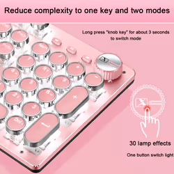 Retro Mechanical Gaming Keyboard 104 Key, LED Backlit Keyboard-Cherry blossom pink