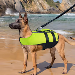 Portable Dog Lifejackets With Airbag,Inflatable Pet Dog Saver Life Jacket Swimming Vest, S