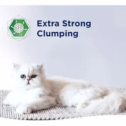Ever Clean Extra Strong Clumping Cat Litter, 10 Litre, Scented