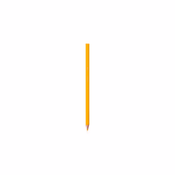 BIC Kids Evolution Coloured Pencils, Vivid Colouring Pencils, Easy to Sharpen, Extra Resistant BIC Pencils, School Supplies, 288 Pack