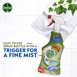 Mould & Mildew Remover - 500 ml