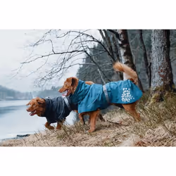 Hurtta Monsoon Berry Fabric Dog Raincoat