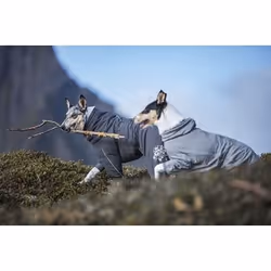 Hurtta Extreme Overall, Dog, Jacket, Purple, Fabric, Image, Hand wash
