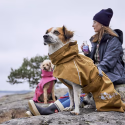 Hurtta Monsoon Coat II ECO 28 Green Polyester Dog
