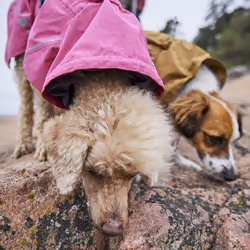 Hurtta Monsoon Coat II ECO 45 Green Polyester Dog - Additional view 6
