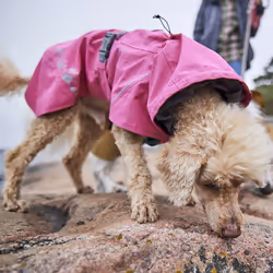 Hurtta Monsoon Coat II ECO 45 Green Polyester Dog - Additional view 7