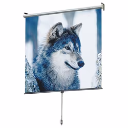 Luma wall/ceiling projection screen. For small to medium sized groups. Spring-roller operated. Housed in pentagonal steel cas ...