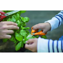 Fiskars Universal Scissors S90, Length: 21 cm, Stainless steel blade/plastic handles, Classic, Orange, 1001539