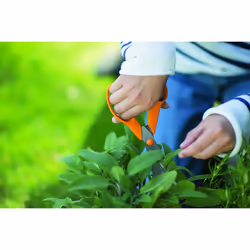 Fiskars Universal Scissors S90, Length: 21 cm, Stainless steel blade/plastic handles, Classic, Orange, 1001539