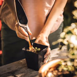 Fiskars 1057641 shovel/trowel Garden trowel Black, Brown - Additional view 6