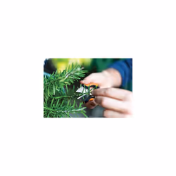 Herb Scissors Length 5.1" Stainless Steel Blades/Plastic Handles Black/Orange Solid SP-220 1063326