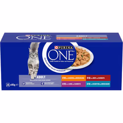 PURINA ONE Mini Fillets Mixed Selection in Gravy Wet Cat Food 40x85g