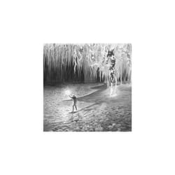 Famyne  II The Ground Below CD (2022) NEW