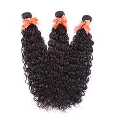 Alimog Water Wave Bundles with Closure Brazilian Virgin Hair Wet and Wavy Bundles with Lace Closure and Curly Bundles with Closure Human Hair Extensio