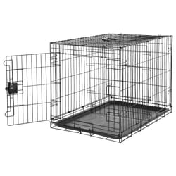 Amazon Basics Large Metal Dog Crate/Cage with Tray, Durable and Foldable Dog Cage with Single Door, Black, Large 91cm (36")