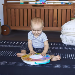 Baby Einstein, Hape, Cal's Smart Sounds Symphony Magic Touch Wooden Electronic Activity Toy