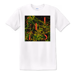 Cults Host T-shirt S - S