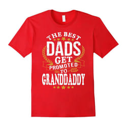 The Best Dads Get promoted to GRANDDADDY T-shirt-Father's Day - XXL