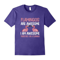 Flamingos Are Awesome I Am Awesome Funny Bird Lover T-Shirt-Father's Day - M