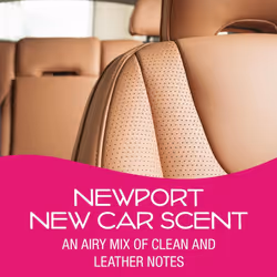 California Scents, Car Air Fresheners Can, Assorted Scents, Pack of 4, Strong Adjustable Long-Lasting Fragrance, Eliminates Odour