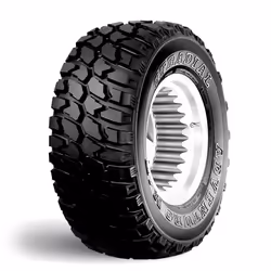 GT RADIAL 6932877196088, all-season, 109 (1030kg), Q (160 km/h), F, F, 73 dB
