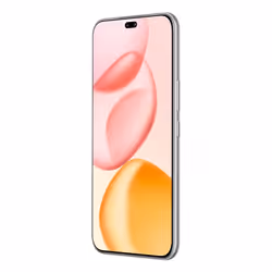 Honor 400 Pro 17 cm (6.7") MagicOS 9.0 5G 12 GB 512 GB 5300 mAh Grey