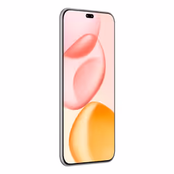 Honor 400 Pro 17 cm (6.7") MagicOS 9.0 5G 12 GB 512 GB 5300 mAh Grey
