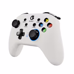 GameSir T4 Pro Wireless Game Controller for Switch (Nintendo Button Layout)