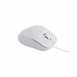 Rapoo N500, Optical, USB Type-A, 3600 DPI, White