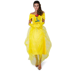 Women's Beautiful Princess Costume - XL