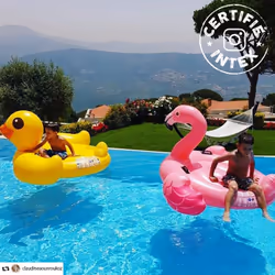 Intex 57558NP Pink Image Vinyl Ride-on float
