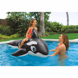 Intex 58561 pool/beach float Black, White Vinyl Ride-on float