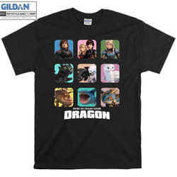 How To Train Your Dragon Characters Toothless T shirt T-shirt - L