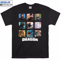 How To Train Your Dragon Characters Toothless T shirt T-shirt - XXL