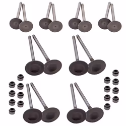 Intake Exhaust Valves for VW Golf GTI Tiguan Beetle for AUDI A3 A5 TT Q3 Q5 2.0T