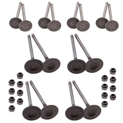 Intake Exhaust Valves for VW Golf GTI Tiguan Beetle for AUDI A3 A5 TT Q3 Q5 2.0T