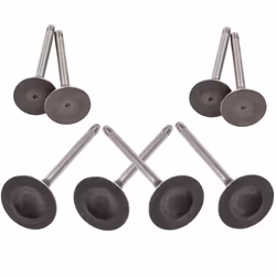 Intake Exhaust Valves for VW Golf GTI Tiguan Beetle for AUDI A3 A5 TT Q3 Q5 2.0T