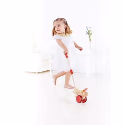 Hape E0340 push & pull toy